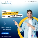 Looking for the Best IT Company in UAE? Choose Codedm2.com